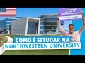 Como é estudar na Northwestern University? Rotina de um estudante brasileiro nos Estados Unidos 🇺🇸