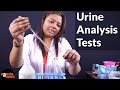 Urine Analysis Test