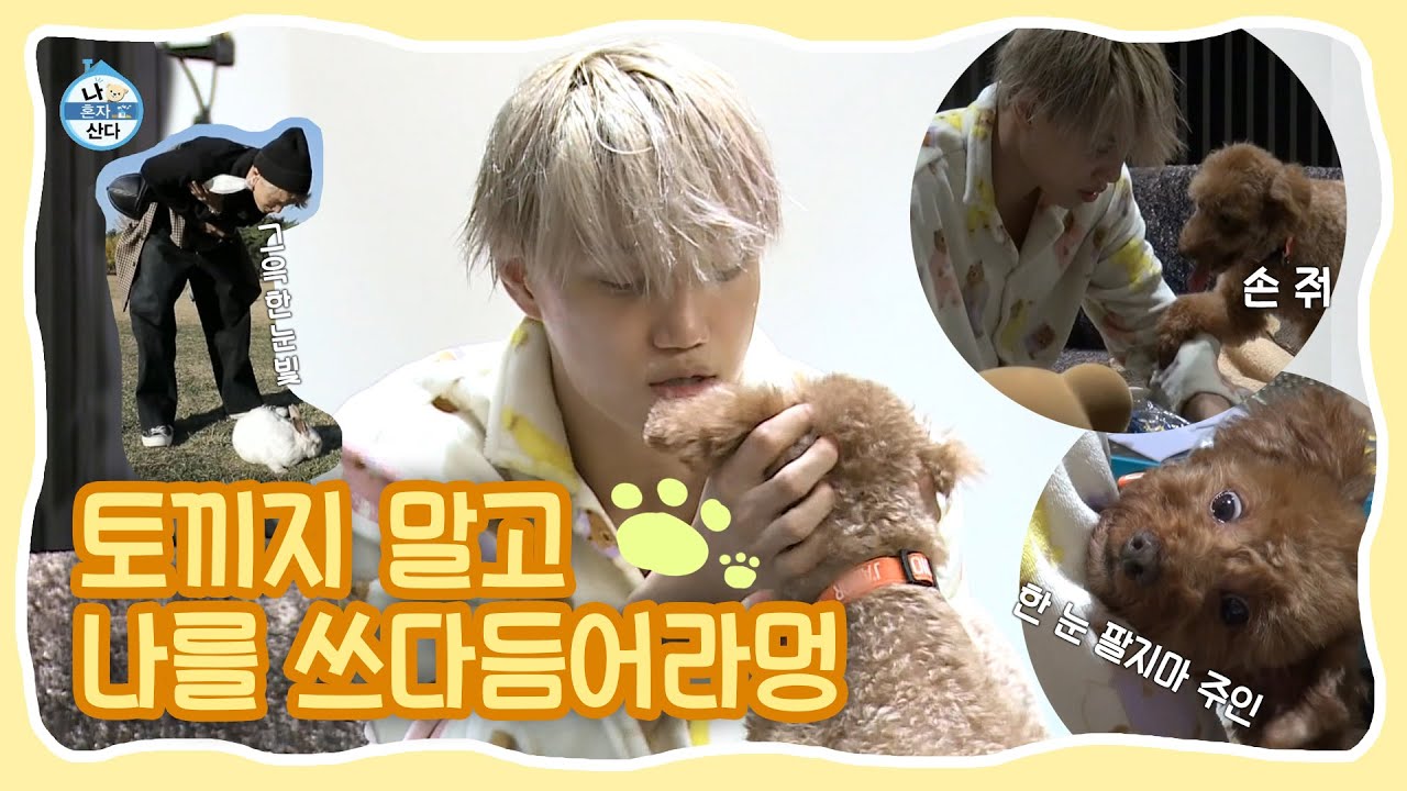 #카이(Kai) | 이러니까 널 만지고 싶잖아//ㅅ// (세리언니 찐리액션) 카이와 토끼&몽구의 데이트♡ | 나혼자산다 #TVPP | MBC 201120 방송