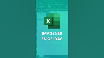 Agregar una imagen a una Celda en Excel #excelavanzado #tutorialexcel #exceltips #excelfacil