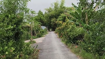 Tập 2_ Đất đầu tư sát kcn Tân Phước 1 , giá hợp lý. Lh 0366048467 @nhadatnguyentien@