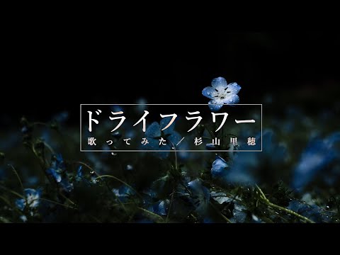 【歌ってみた】ドライフラワー / 優里【杉山里穂】