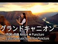 日本初の"グランドキャニオン”ソング|「グランドキャニオン」- Grand Canyon Amon ☆ Puncture(アモン☆パンクチャー）【Official MV】