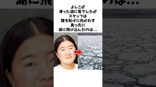 スタッフが動かない中、よしこを救いに行ったちゃんみな #感動する話 #芸人 #感動