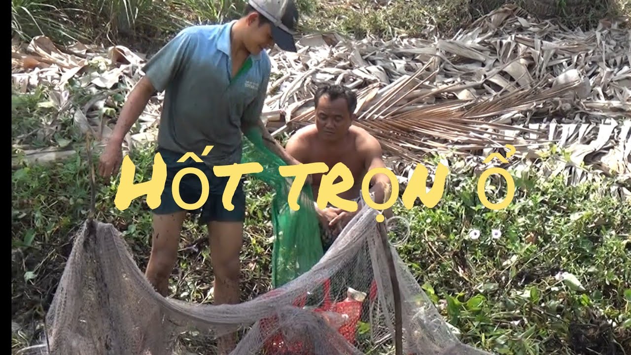 Xem Cách Rùng Lưới Bắt Cá Của Người Miền Tây HỐT TRỌN Ổ/Gò Công TV