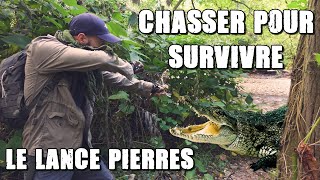 lance pierre Pro VS lance pierre fait mains screenshot 4