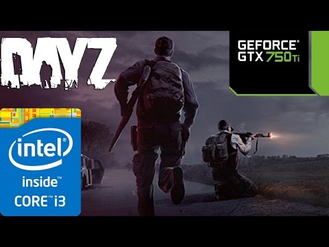 DayZ - i3 4150 - 8GB RAM - GTX 750 ti - 1080p