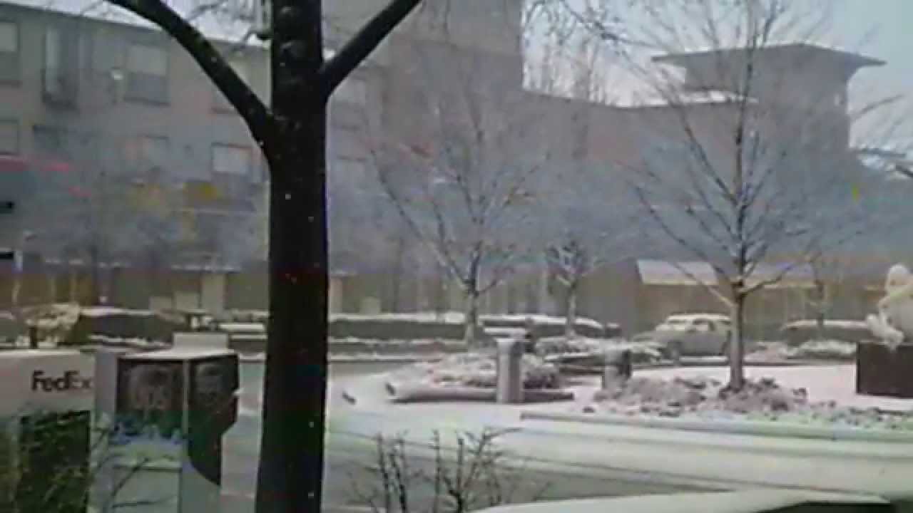 FIRST  SNOW ?  (The Neiman Marcus Coat by Renee Ashley Baker)