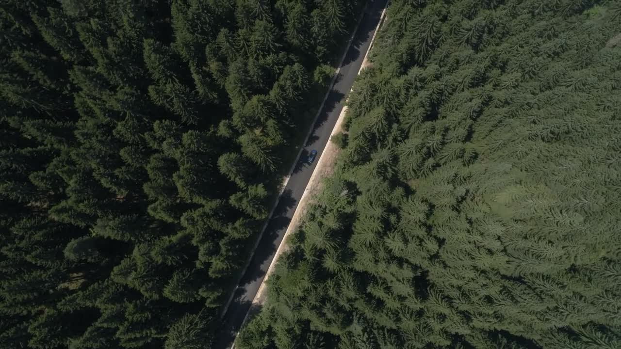 Vehicle Driving On Forest Road Stock Video