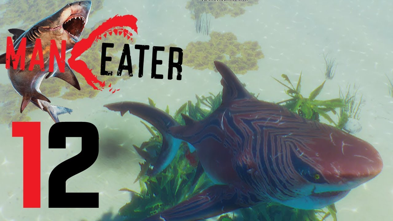ManEater PS4 - Gameplay Walkthrough Part 12 Tiger Shark Attack!