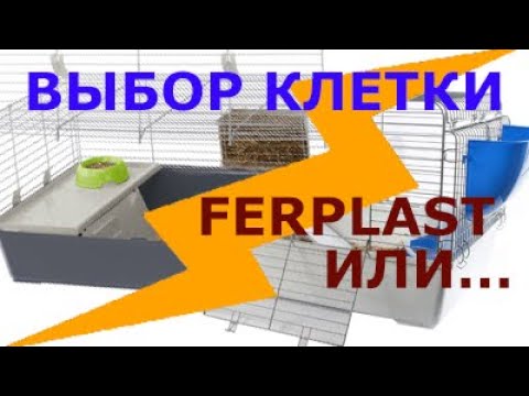 Клетка для морской свинки. Ferplast Rabbit 100 и Sky Little Zoo Roger Обзор Клетки для грызунов