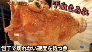 血まみれ！？包丁で切れない魚を無理やりさばいた結果・・・