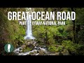 Great Ocean Road, Australia in HD, Part 1 - Otway National Park