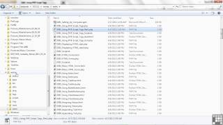 Using PHP Script Tags