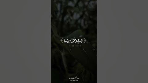{إِنَّ لِلْمُتَّقِينَ عِندَ رَبِّهِمْ جَنَّاتِ النَّعِيمِ} [القلم : 34]القارئ زين العابدين الحديدي