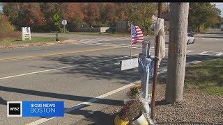 Family of Dylan Levesque calls for Mass DOT to put traffic light at intersection where he was killed