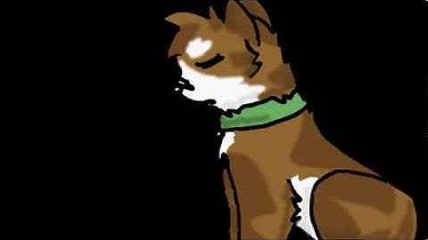 Radioactive MAP part 4