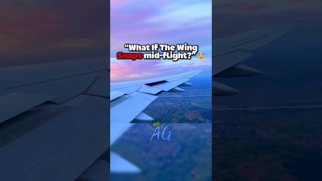 How Wings Are Tested… 🫣 