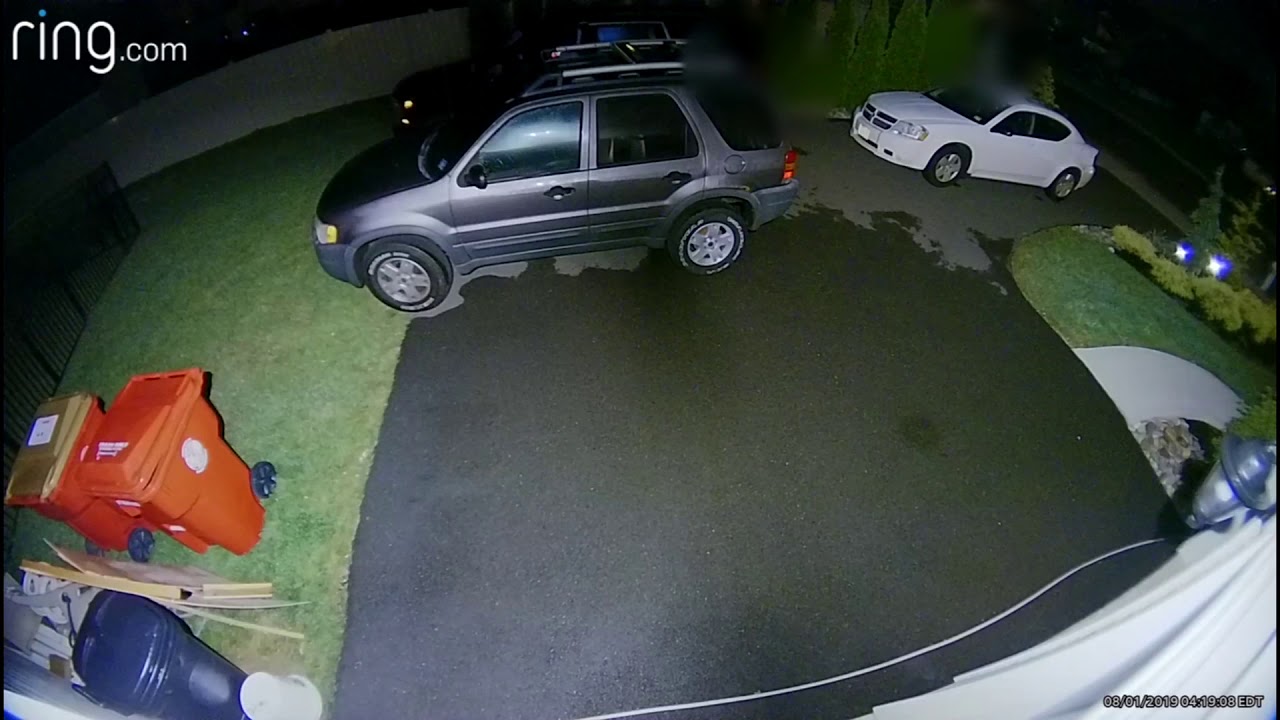 Forks Township homeowner confronts alleged vehicular burglar YouTube