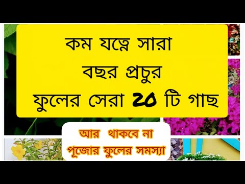 ভিডিও: বাগানের জন্য ফুল বুনন: ফটো এবং নাম