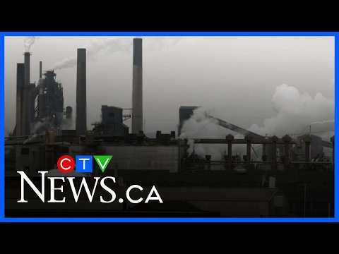 Ontario Stelco plant to begin massive layoffs on October 9: union