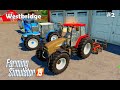 Farming Simulator 2019. Westbridge. Sowing grain; applying fertilizers. #2