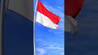 #merdeka  siapa yang tim indonesia #17agustus