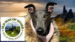 GREYHOUND visits Old Man of Storr & Fairy Pools…Part 2 Isle of Skye adventure