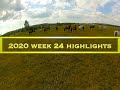 2020 week 24  highlights