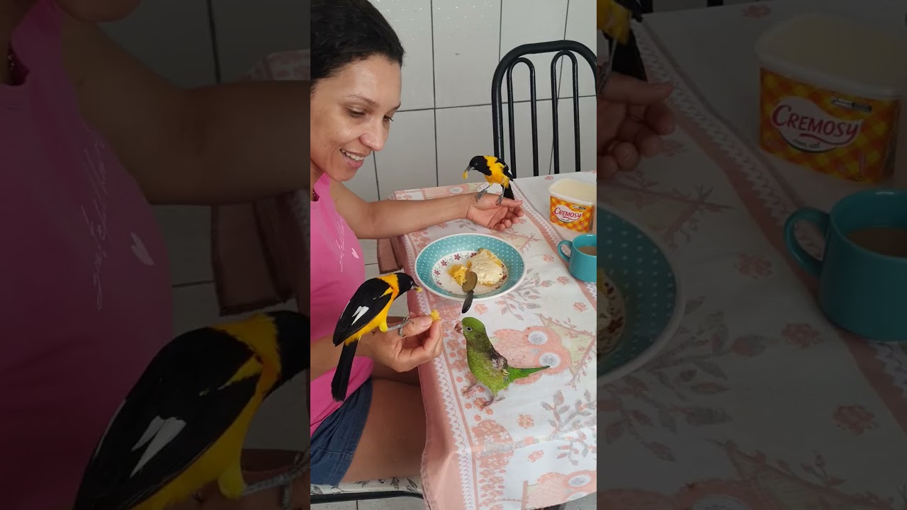 Todo dia a mesma história 🤣😍🤩