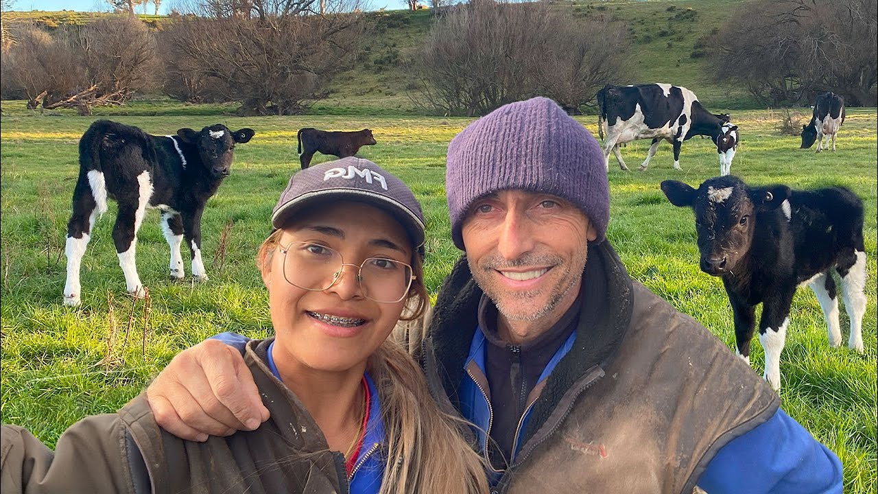 CRESTEREA VITEILOR - cea mai frumoasa munca!