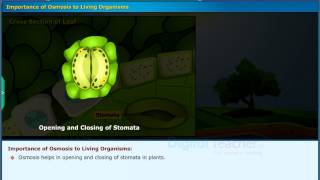 Importance of osmosis to living organisms, Class 9 Biology