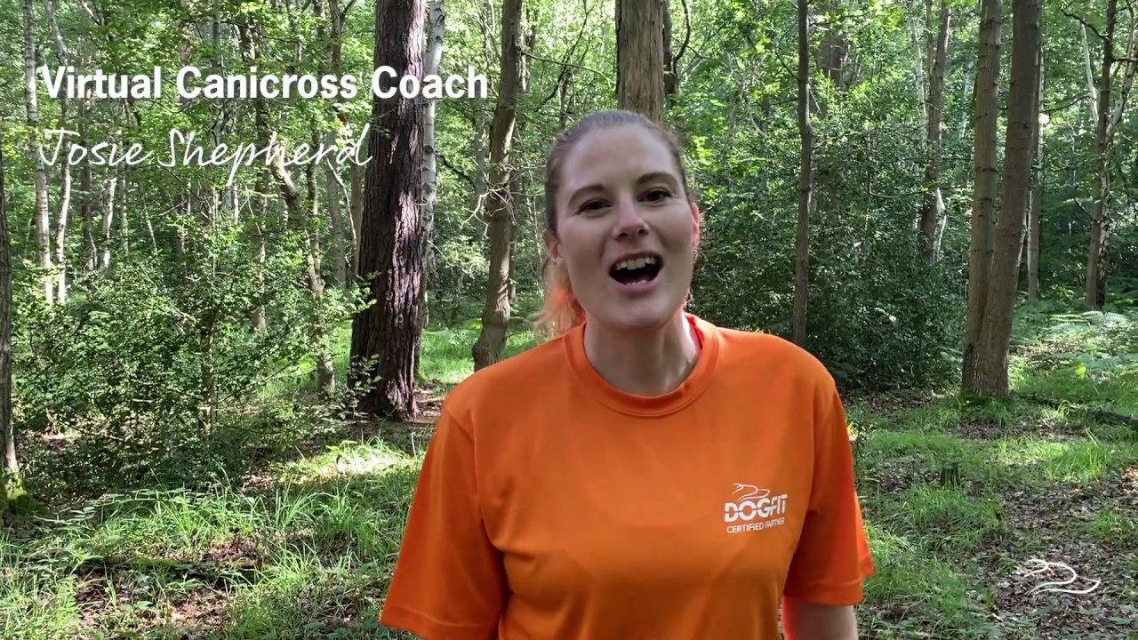 Virtual online canicross coaching with DogFit