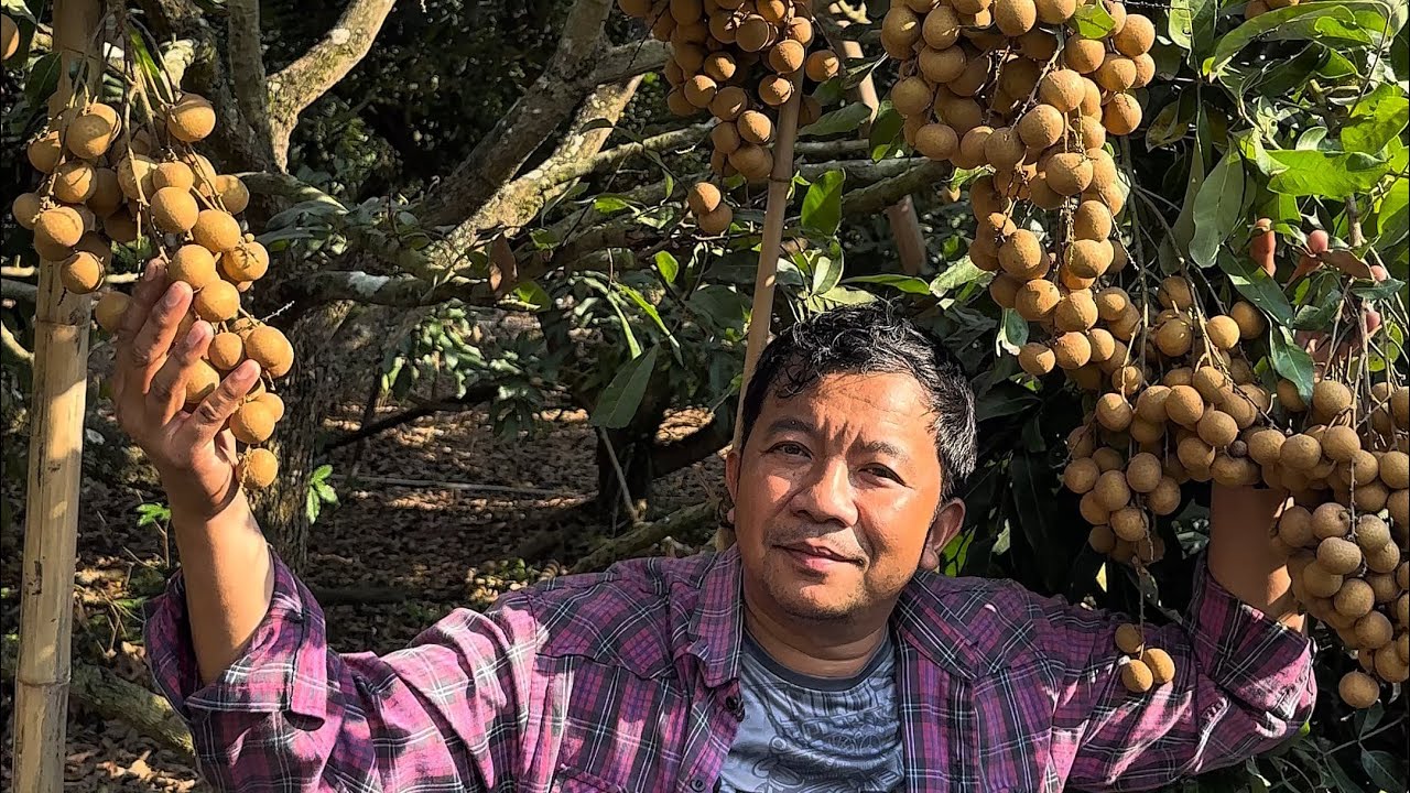 มีน้อยแต่มีนะ ทำยากจริง  รุ่น 15 ก.ค 68