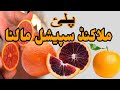 Palai malakand special orange malta  vlog7