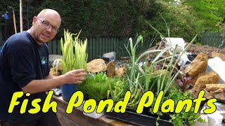 10 Fish Pond Plants - Examples of Aquatic Plants with Names