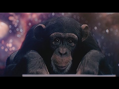 The Infinite Monkey Theorem - EXPLAINED