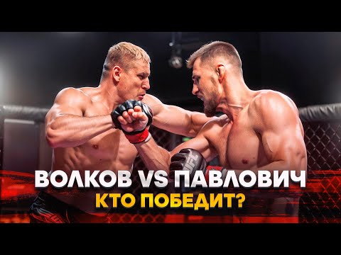 Волков VS Павлович: вся ПРАВДА о бое в UFC и его РАЗБОР / КТО ЛУЧШЕ? / Показательный спарринг? НЕТ!