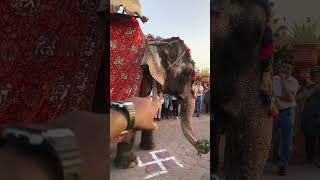 #travel #trending #mountains #story #shortvideo #viralvideo #ytshorts #poicha