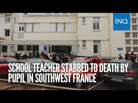 School teacher stabbed to death by pupil in southwest France