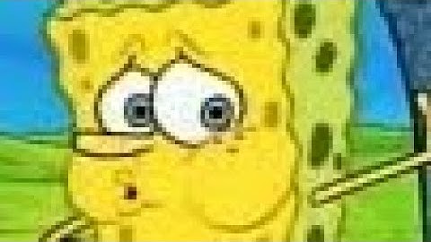 Spongebob spongebash screen bug new