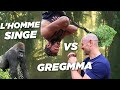 Ce type nest pas humain  gregmma vs lo urban