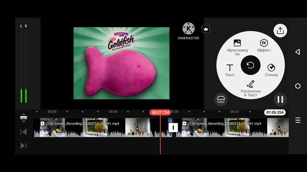 15 января 2026 г.