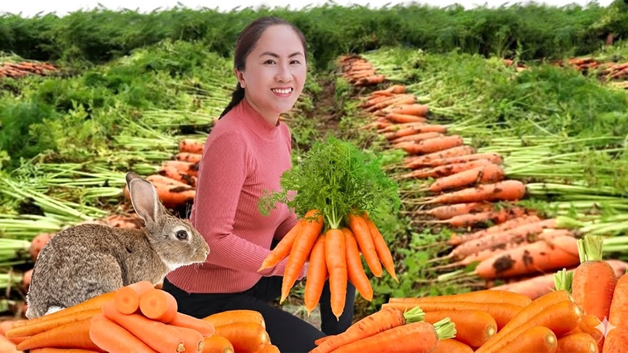 Harvest the Carrots from the Garden and Take Them to the Market to Sell | Life Beautiful