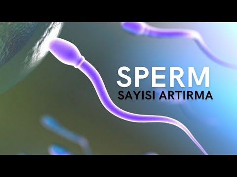 Sperm Sayısı Artırmak İçin Ne Yapmalı?