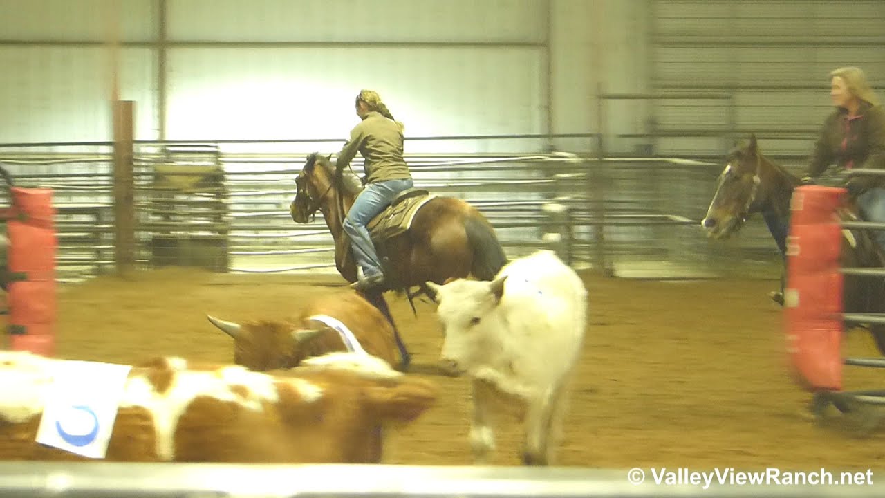 Smart Whiskey Cash - sorting practice #3 - Valley View Ranch