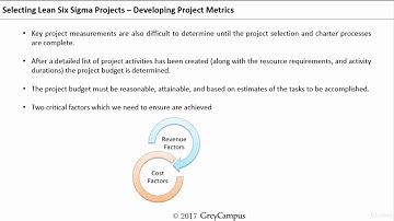 Lean - Six Sigma Training - 013 Developing Project Metrics