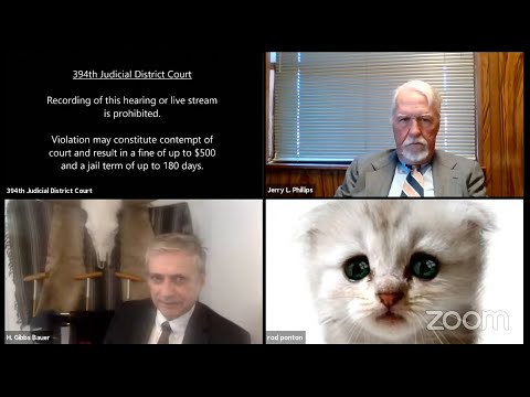 ‘I’m not a cat’: Lawyer goes viral for kitten filter in Zoom virtual court case