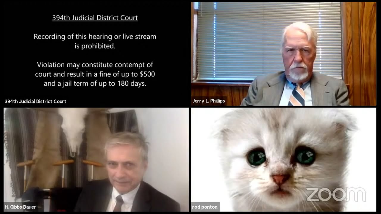 I M Not A Cat Lawyer Goes Viral For Kitten Filter In Zoom Virtual Court Case Youtube