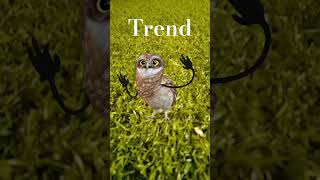 trend #short #shortsfeed #ytshorts #ytshortsindia #funny#nivetadhingramusic